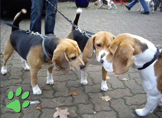 ausgiebige Begrungszeremonie auf dem Parkplatz