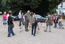 Beagletreffen