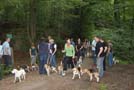 Beagles im Wald Paschenburg