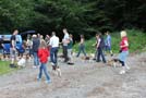 Beagles vom Deistertal