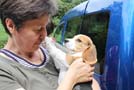 Gina vom Deistertal sucht noch ein neues Zuhause