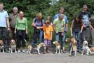 Beagle Gruppenfoto