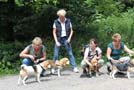 Beagle Gruppenfoto